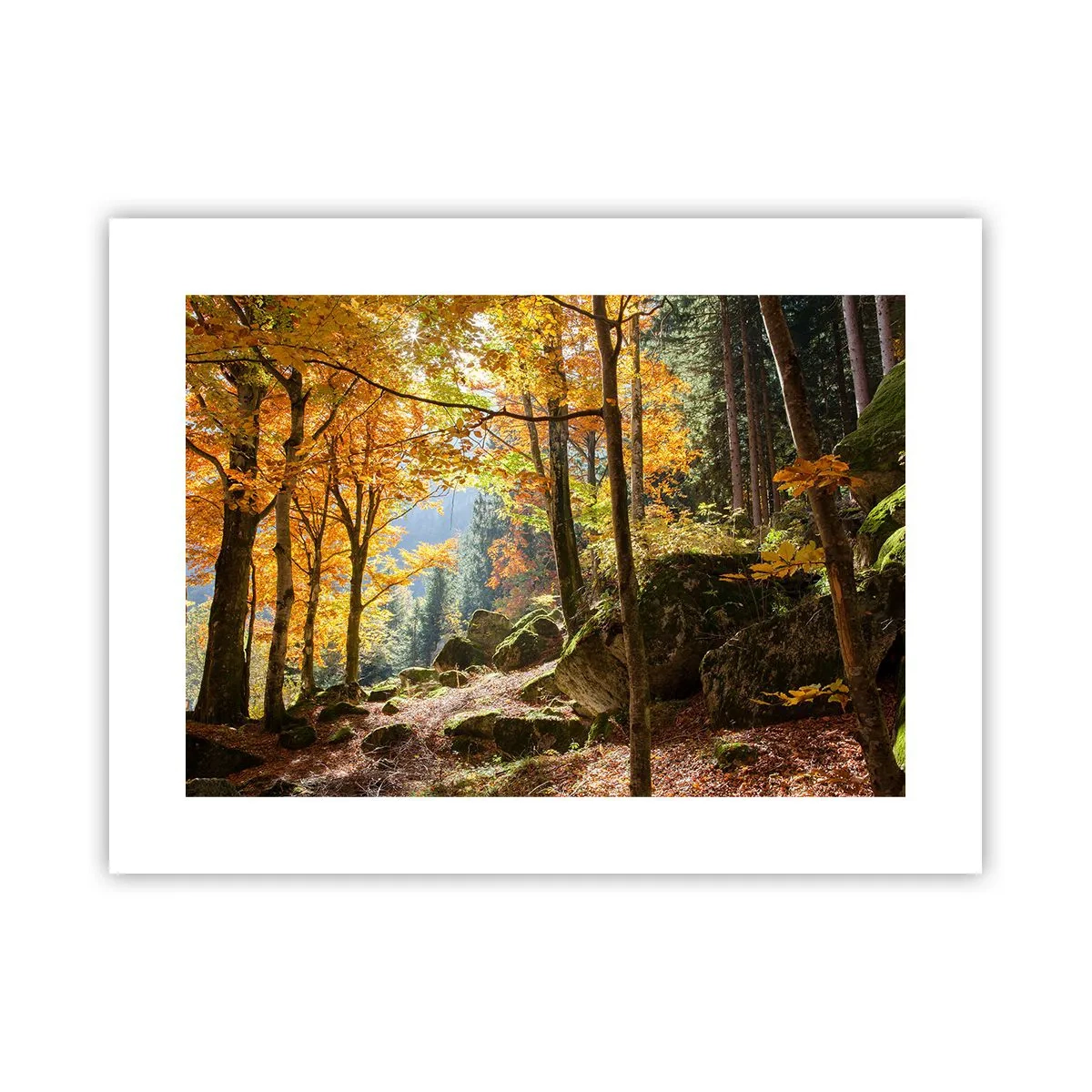 Poster - Il tempo del riposo - 40x30 cm