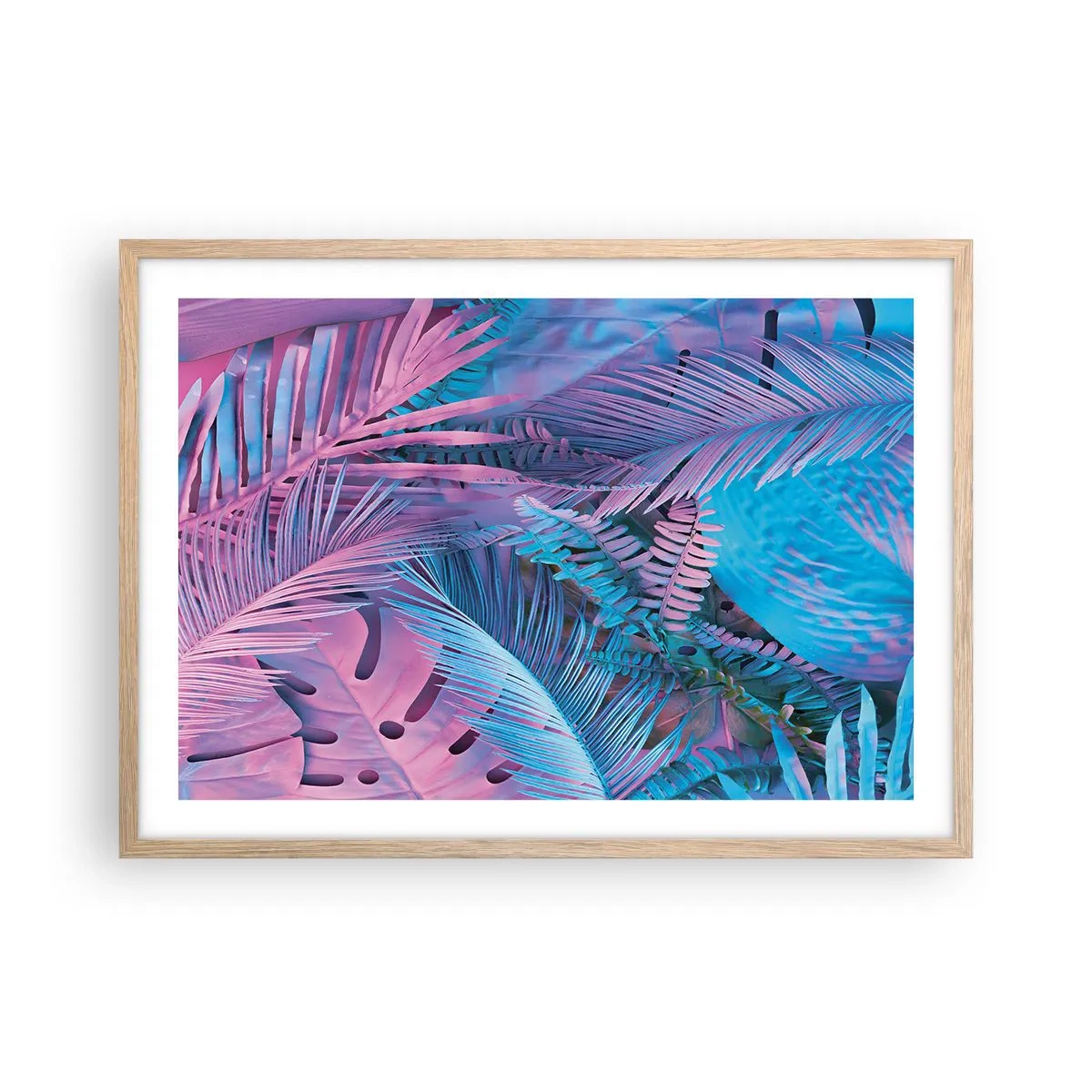 Poster in cornice rovere chiaro - Tropici in rosa e blu - 70x50 cm