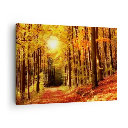 Quadro su tela - Stampe su Tela - Foresta autunnale con raggi di sole che brillano attraverso gli alberi - 70x50cm - Autunno dorato nella via nel bosco - Decorazione murale moderna per soggiorno e camera da letto ARTTOR