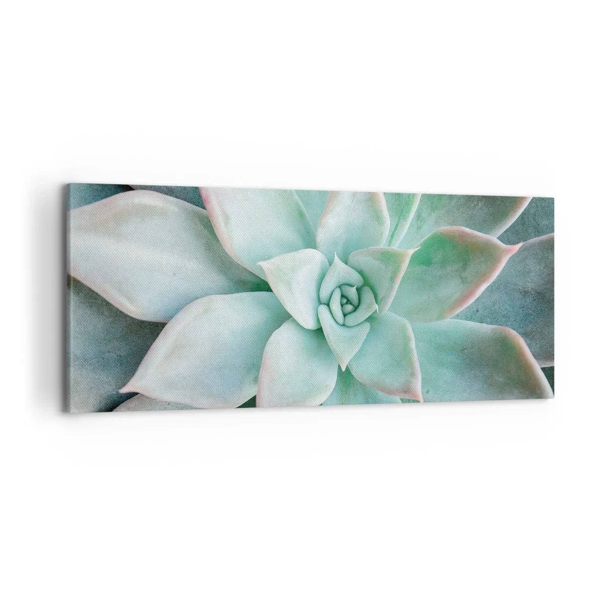 Quadro su tela - Stampe su Tela - Primo piano di una succulenta verde - 120x50cm - Il cuore del deserto - Decorazione murale moderna per soggiorno e camera da letto ARTTOR