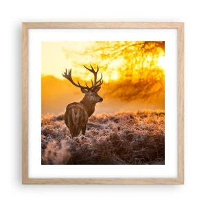Poster in cornice rovere chiaro - Il re del bosco estivo - 40x40 cm