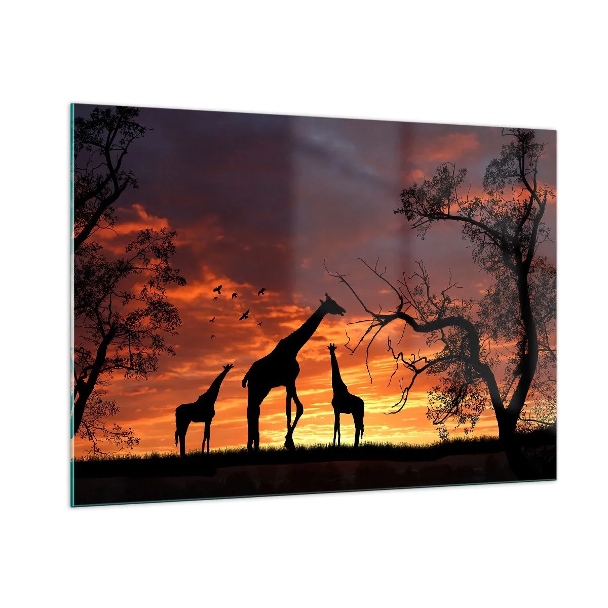 Quadro su vetro - Sagome di giraffe sullo sfondo di un tramonto in un paesaggio africano - 100x70cm - Piccola cena tra amici - Decorazione murale moderna per soggiorno e camera da letto ARTTOR