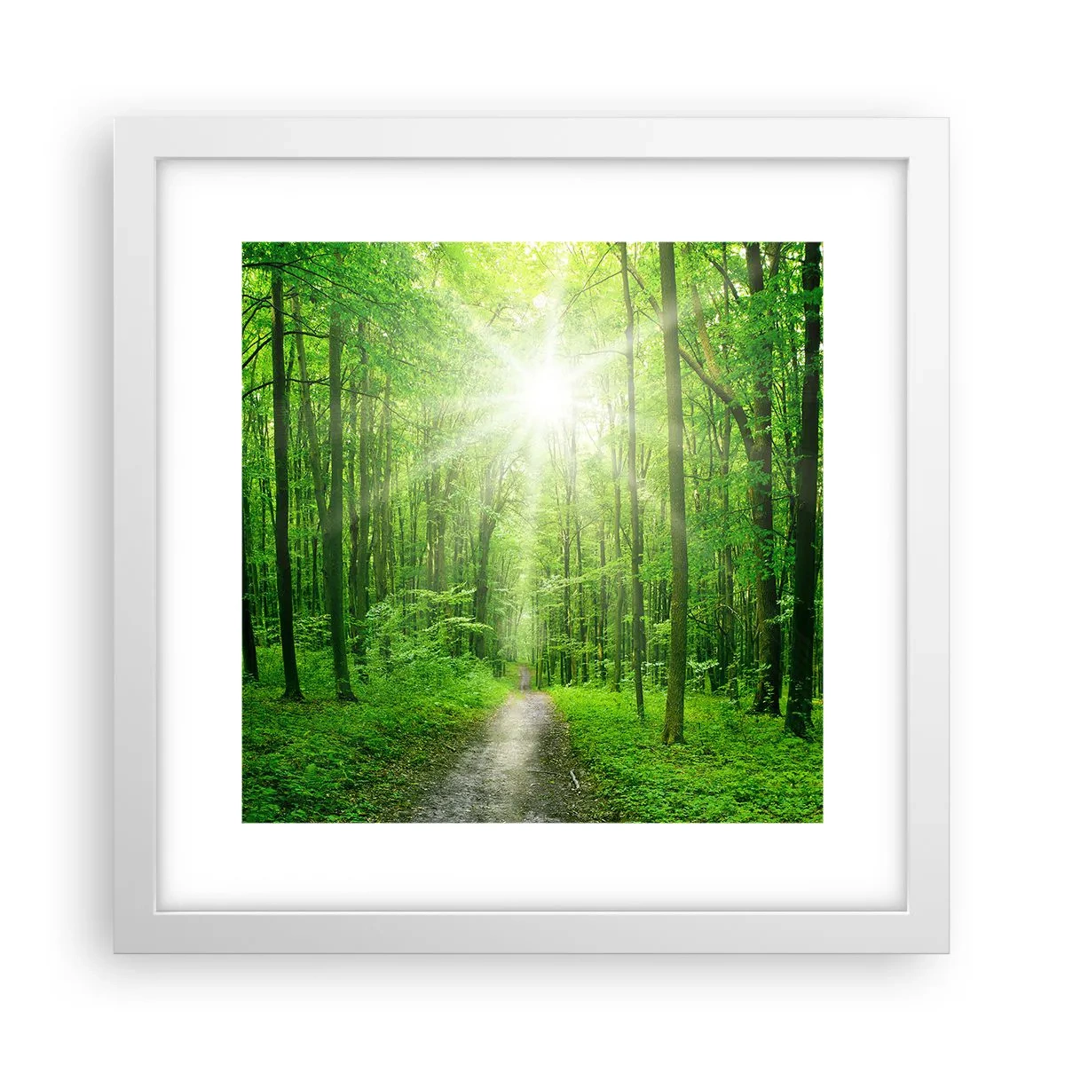 Poster in cornice bianca - Cattedrale verde - 30x30 cm