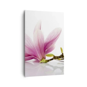 Quadro su tela - Stampe su Tela - Delicate magnolie rosa su sfondo bianco - 80x120cm - Delicati come un soffio di primavera - Decorazione murale moderna per soggiorno e camera da letto ARTTOR