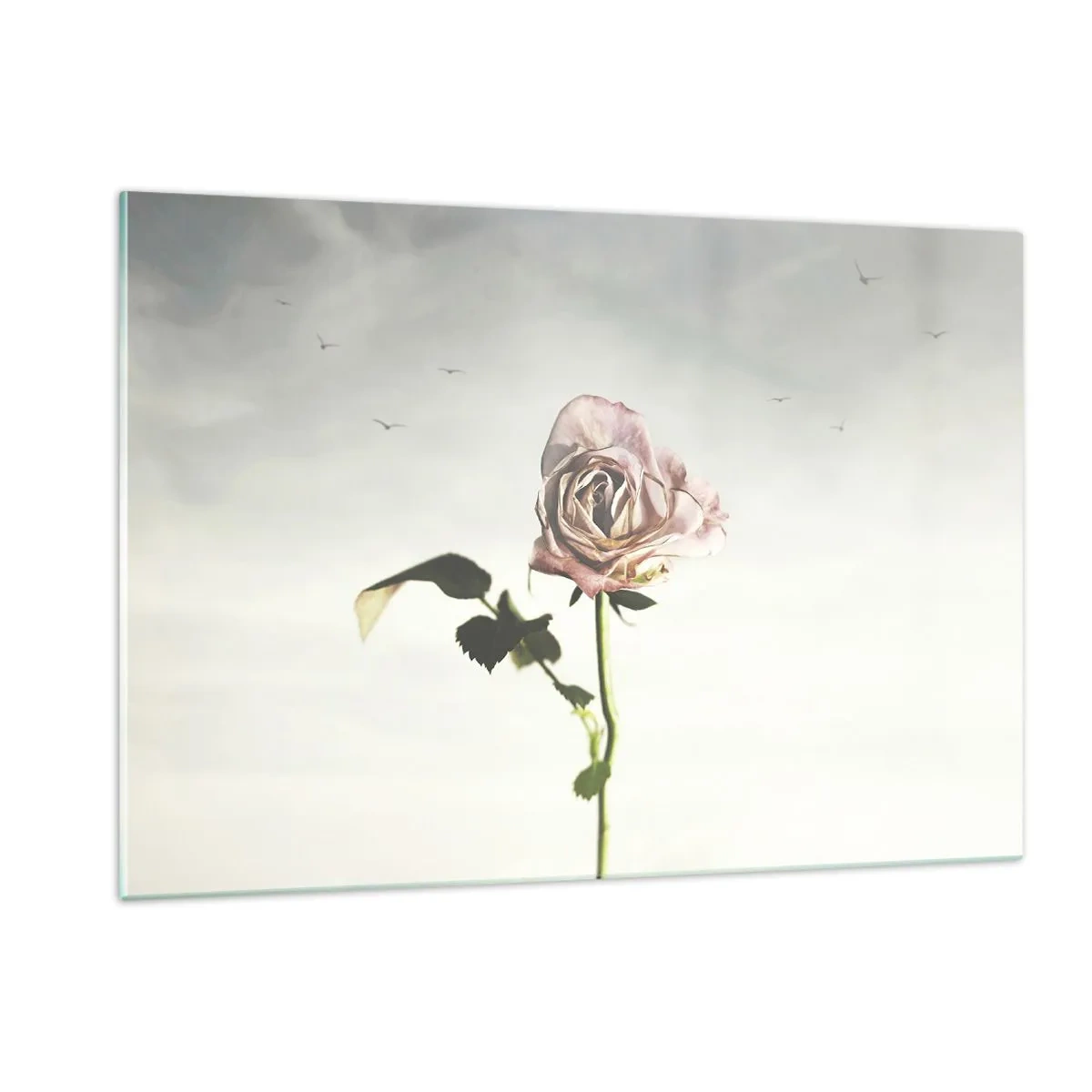 Quadro su vetro - Una rosa delicata contro il cielo con uccelli in volo - 120x80cm - Il benvenuto alla primavera - Decorazione murale moderna per soggiorno e camera da letto ARTTOR