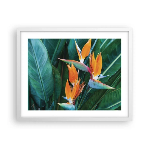 Poster in cornice bianca - È un fiore o un uccello? - 50x40 cm