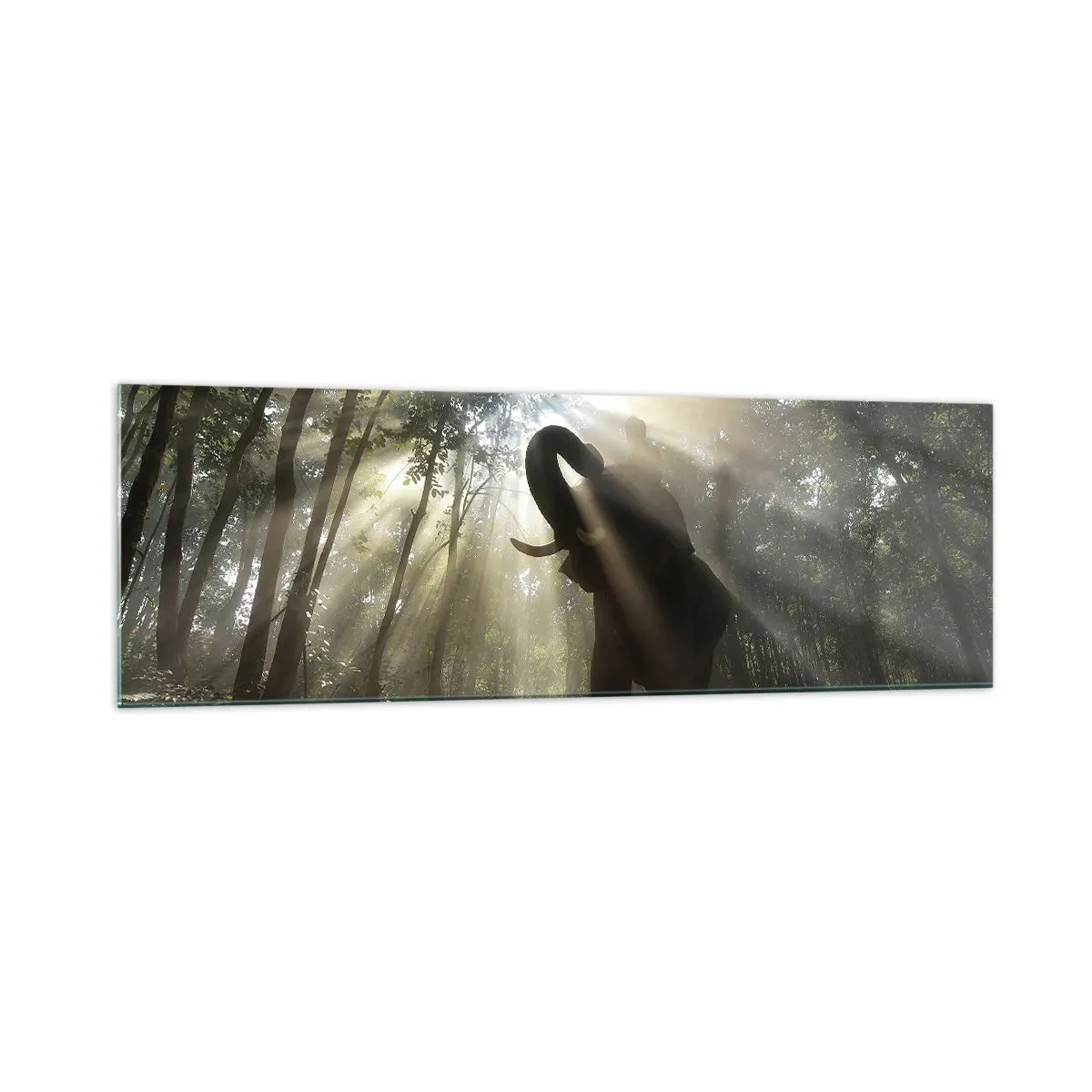 Quadro su vetro - Un elefante nella foresta circondato da raggi di luce nella nebbia mattutina - 160x50cm - Sotto una stella fortunata - Decorazione murale moderna per soggiorno e camera da letto ARTTOR