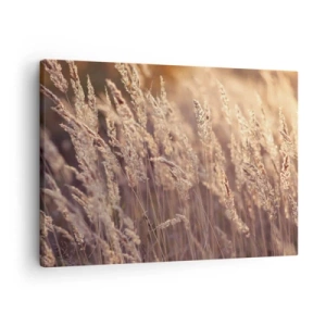 Quadro su tela - Stampe su Tela - Erbe dorate sullo sfondo del sole al tramonto - 70x50cm - Pronti a salutare l'autunno - Decorazione murale moderna per soggiorno e camera da letto ARTTOR