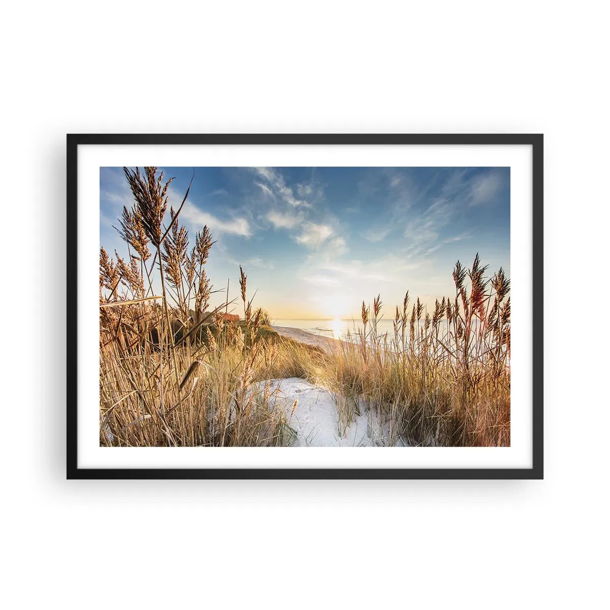 Poster in cornice nera - Una spiaggia pittoresca con erba e il sole al tramonto - 70x50cm - Spiaggia del nord - Decorazione murale moderna per soggiorno e camera da letto ARTTOR