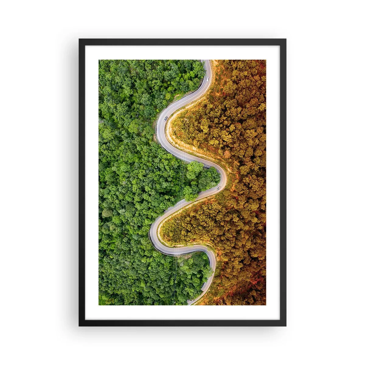 Poster in cornice nera - Una strada che si snoda attraverso una foresta divisa in parti verdi e autunnali - 50x70cm - Confine e separazione - Decorazione murale moderna per soggiorno e camera da letto ARTTOR