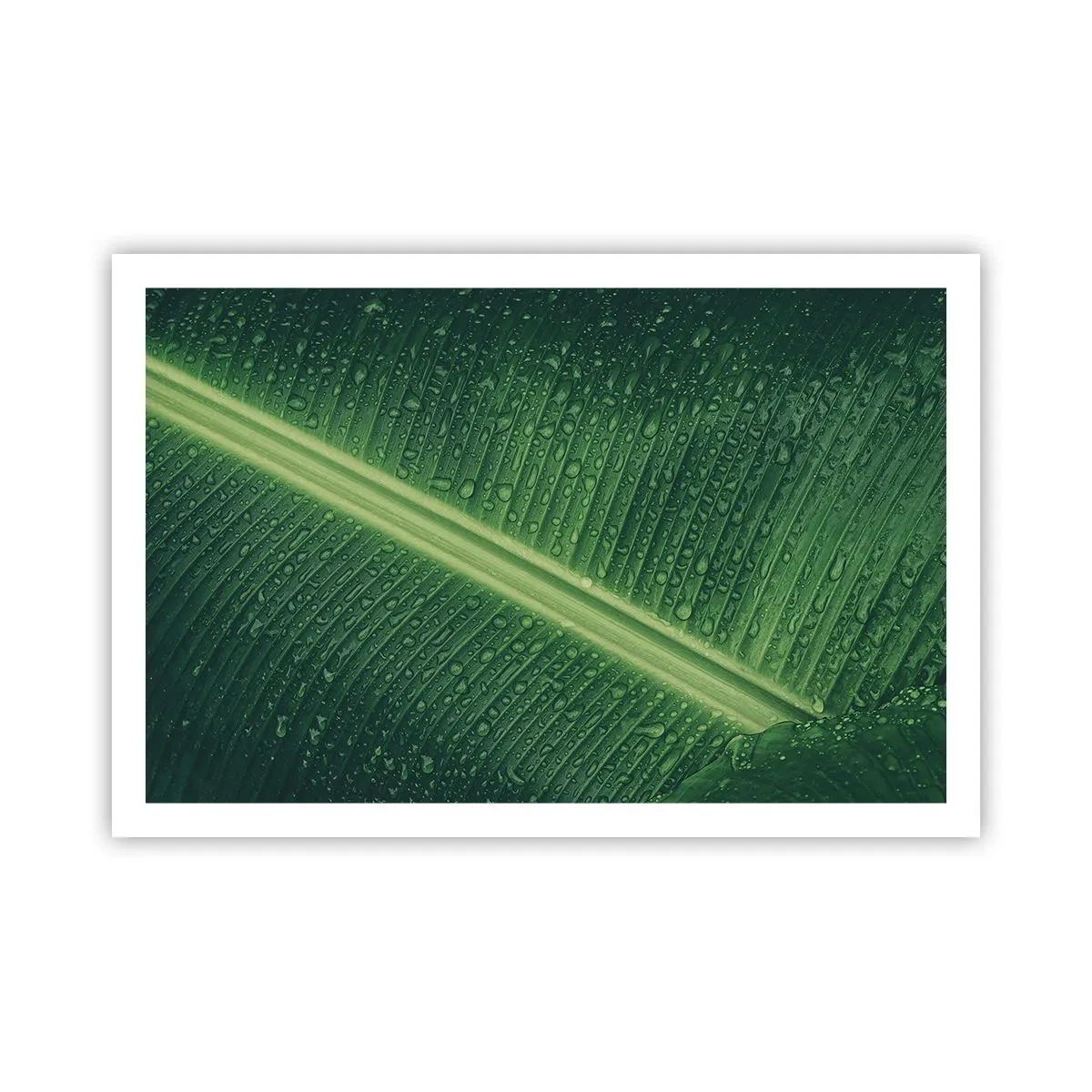 Poster - La struttura del verde - 91x61 cm
