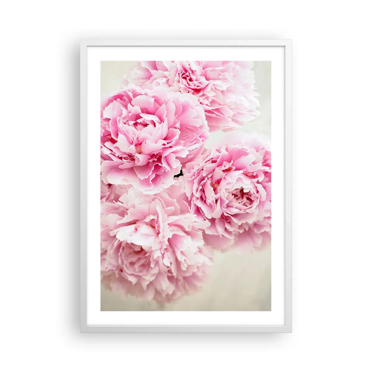 Poster in cornice bianca - Nel fasto rosa - 50x70 cm