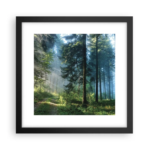 Poster in cornice nera - Raggiante all'alba - 30x30 cm