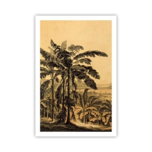 Poster - Nel clima coloniale - 61x91 cm
