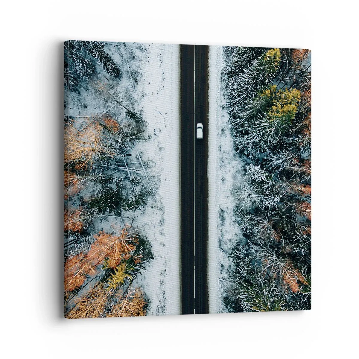 Quadro su tela - Stampe su Tela - Tagliando la foresta invernale - 40x40 cm