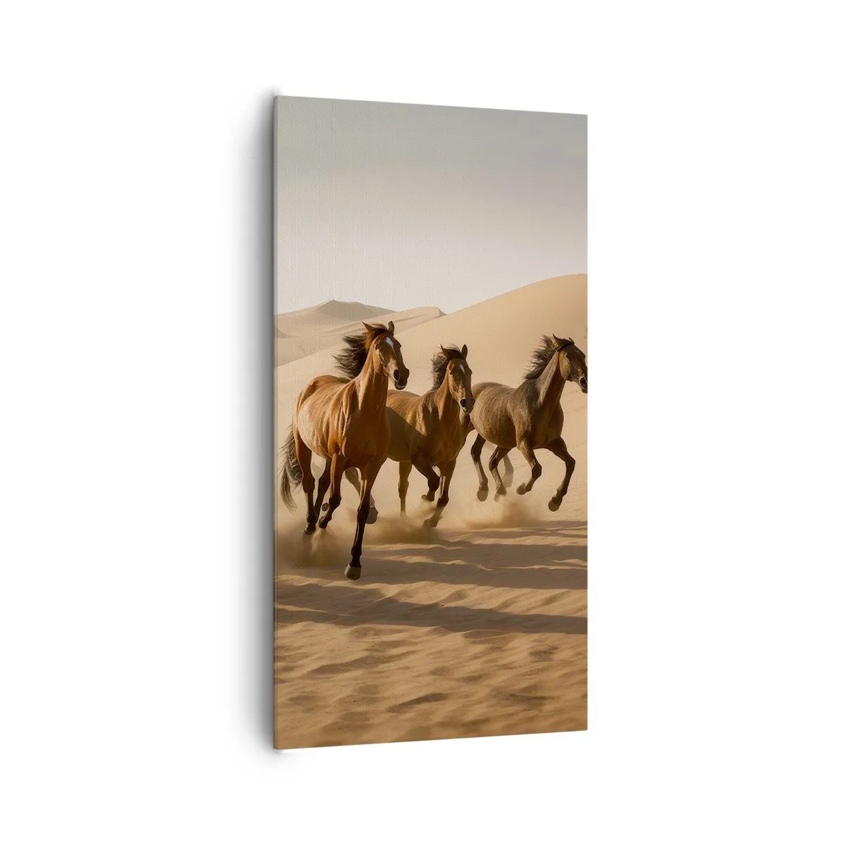 Quadro su tela - Stampe su Tela - Liberi come il vento - 65x120 cm