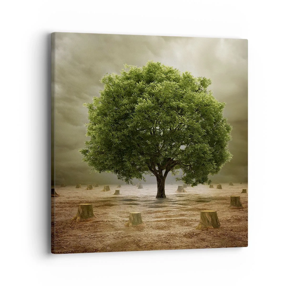 Quadro su tela - Stampe su Tela - Ogni speranza - 40x40 cm