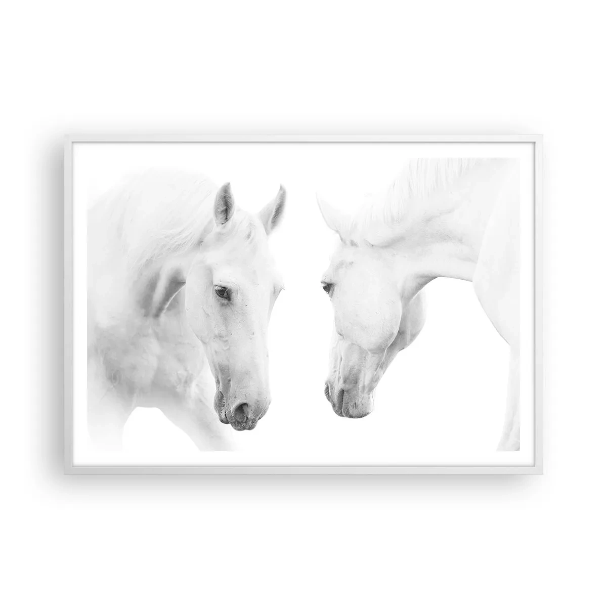 Poster in cornice bianca - È amicizia? - 100x70 cm