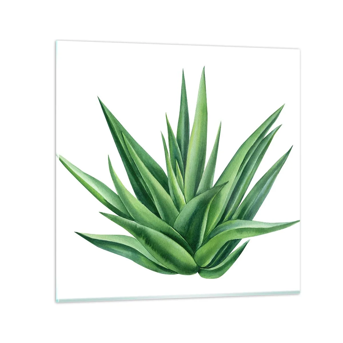 Quadro su vetro - Verde - forza - vita - 30x30 cm