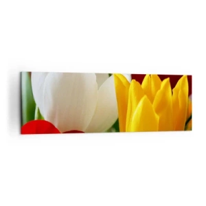 Quadro su tela - Stampe su Tela - Primo piano di tulipani colorati su uno sfondo primaverile - 160x50cm - La febbre dei tulipani - Decorazione murale moderna per soggiorno e camera da letto ARTTOR