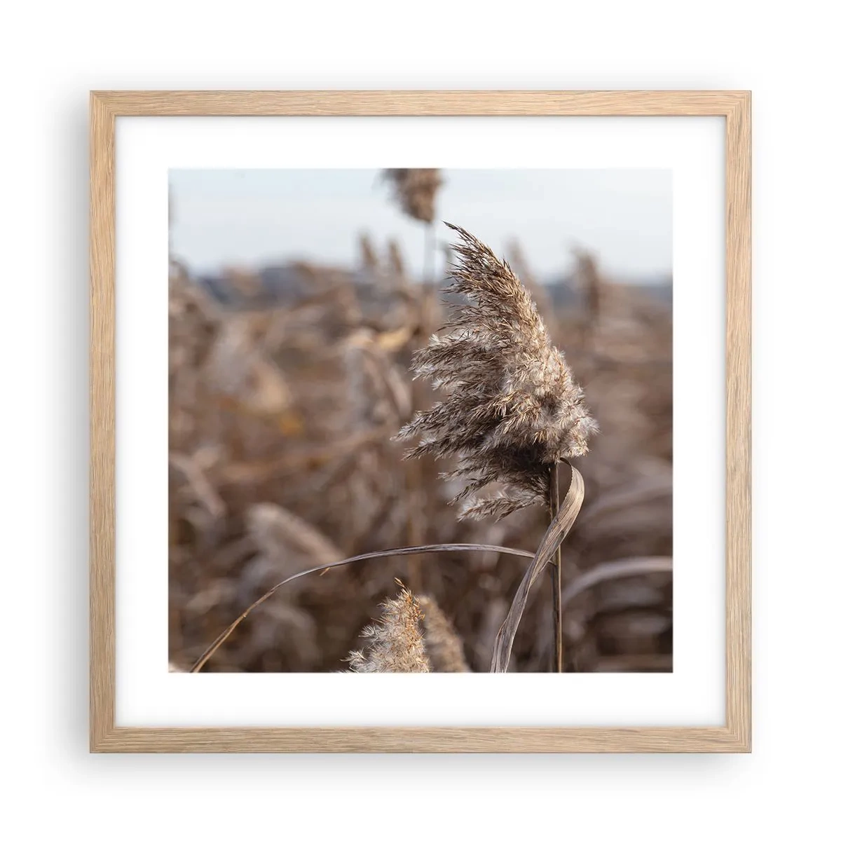 Poster in cornice rovere chiaro - è tempo di volare col vento - 40x40 cm