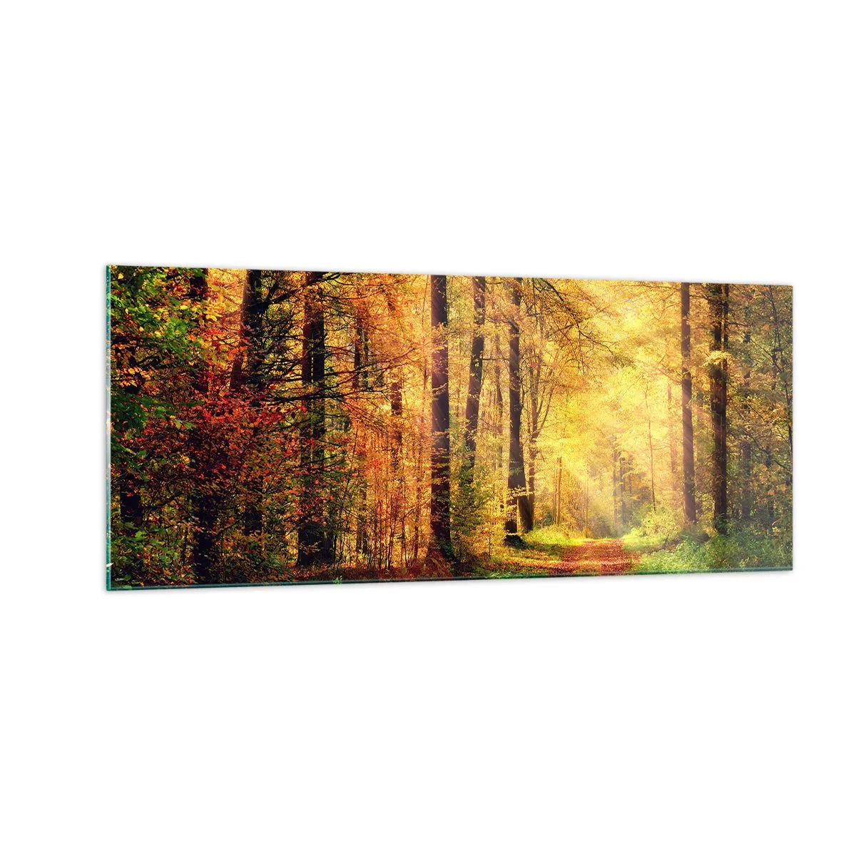 Quadro su vetro - Il silenzio d'oro del bosco - 100x40 cm
