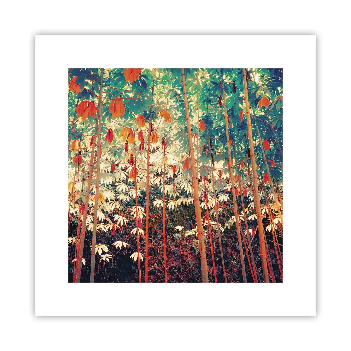 Poster - La vita segreta delle foglie - 30x30 cm
