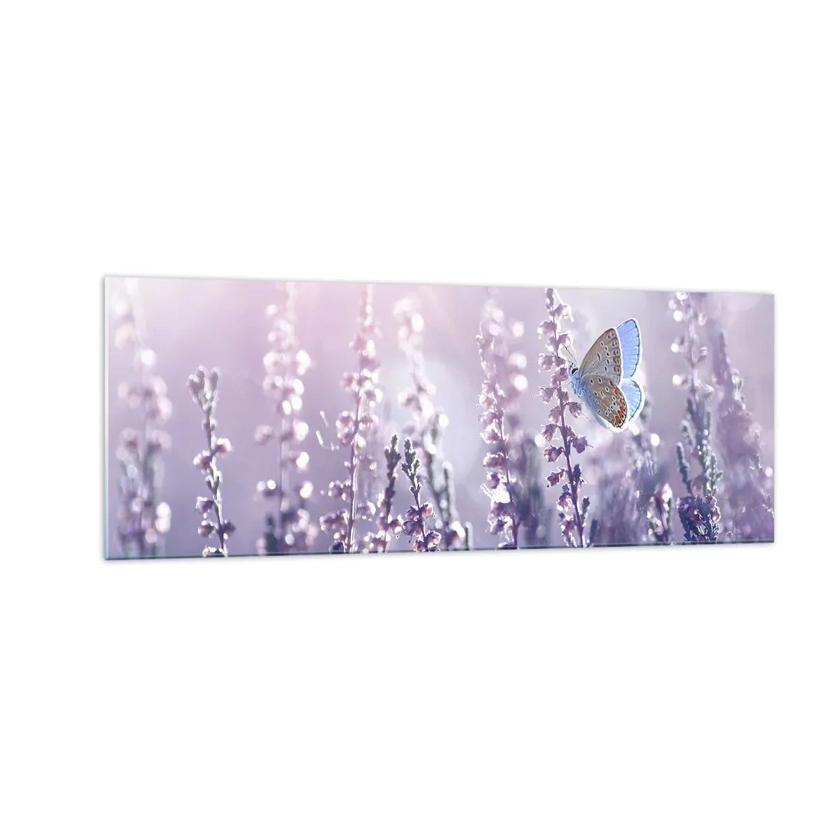 Quadro su vetro - Una farfalla sulla lavanda in fiore nella luce del mattino - 140x50cm - Il bacio della farfalla - Decorazione murale moderna per soggiorno e camera da letto ARTTOR
