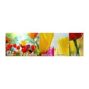 Campione di Fotomurale Premium Sand - Tutti i colori del sole - Tulipani, Fiori, Prato - 100x30 cm