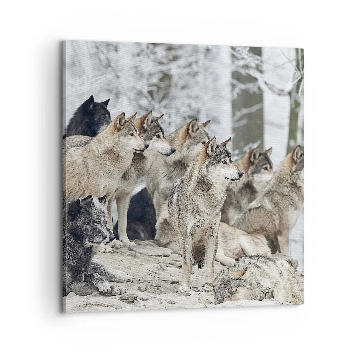 Quadro su tela - Stampe su Tela - Famiglia e amici - 60x60 cm