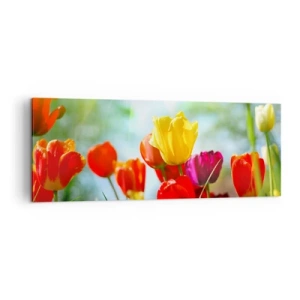 Quadro su tela - Stampe su Tela - Tulipani colorati al sole - 140x50cm - Tutti i colori del sole - Decorazione murale moderna per soggiorno e camera da letto ARTTOR