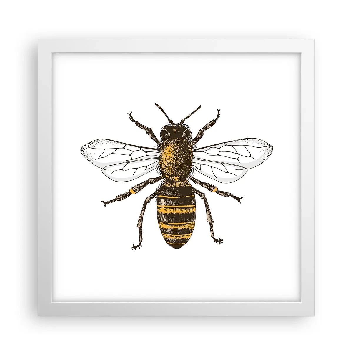 Poster in cornice bianca - Bella e buona - 30x30 cm