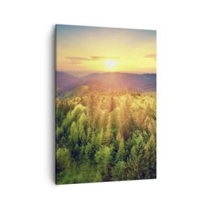 Quadro su tela - Stampe su Tela - Paesaggio forestale con tramonto sulle colline - 50x70cm - Vette e cime - Decorazione murale moderna per soggiorno e camera da letto ARTTOR