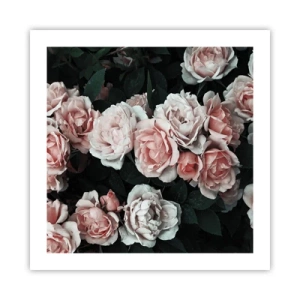 Poster - Composizione di rose - 50x50 cm