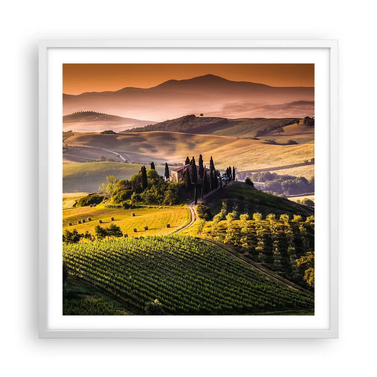 Poster in cornice bianca - Arcadia: paesaggio toscano - 60x60 cm