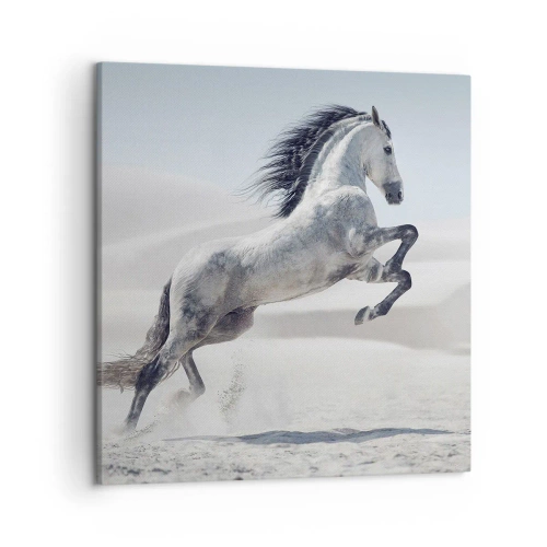 Quadro su tela - Stampe su Tela - Il principe arabo - 50x50 cm