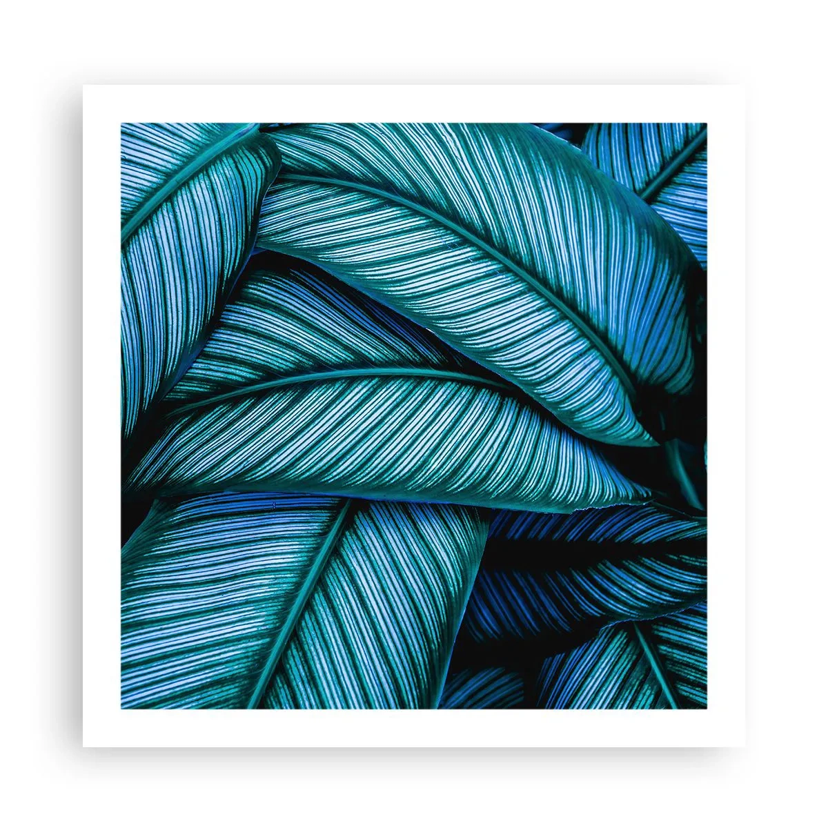 Poster - Le linee della vita - 60x60 cm