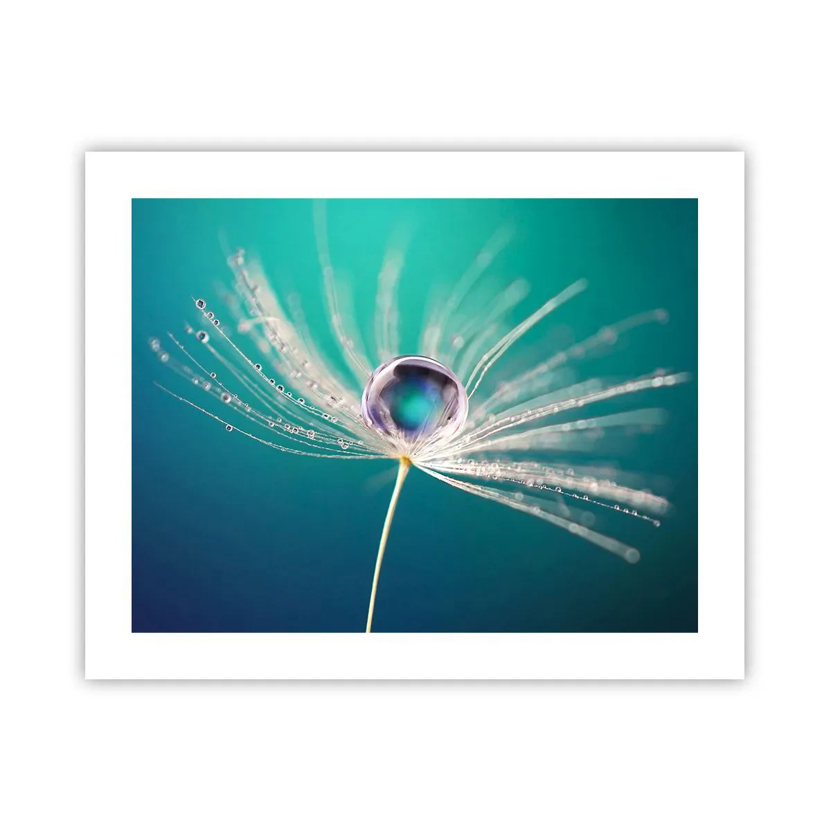 Poster - Attimo mistico - 50x40 cm