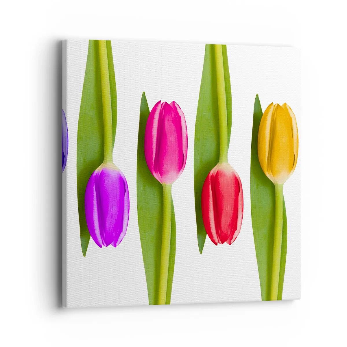 Quadro su tela - Stampe su Tela - Composizione arcobaleno - 40x40 cm