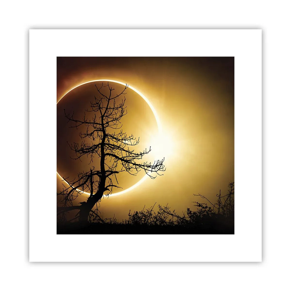 Poster - Eclissi totale - 30x30 cm