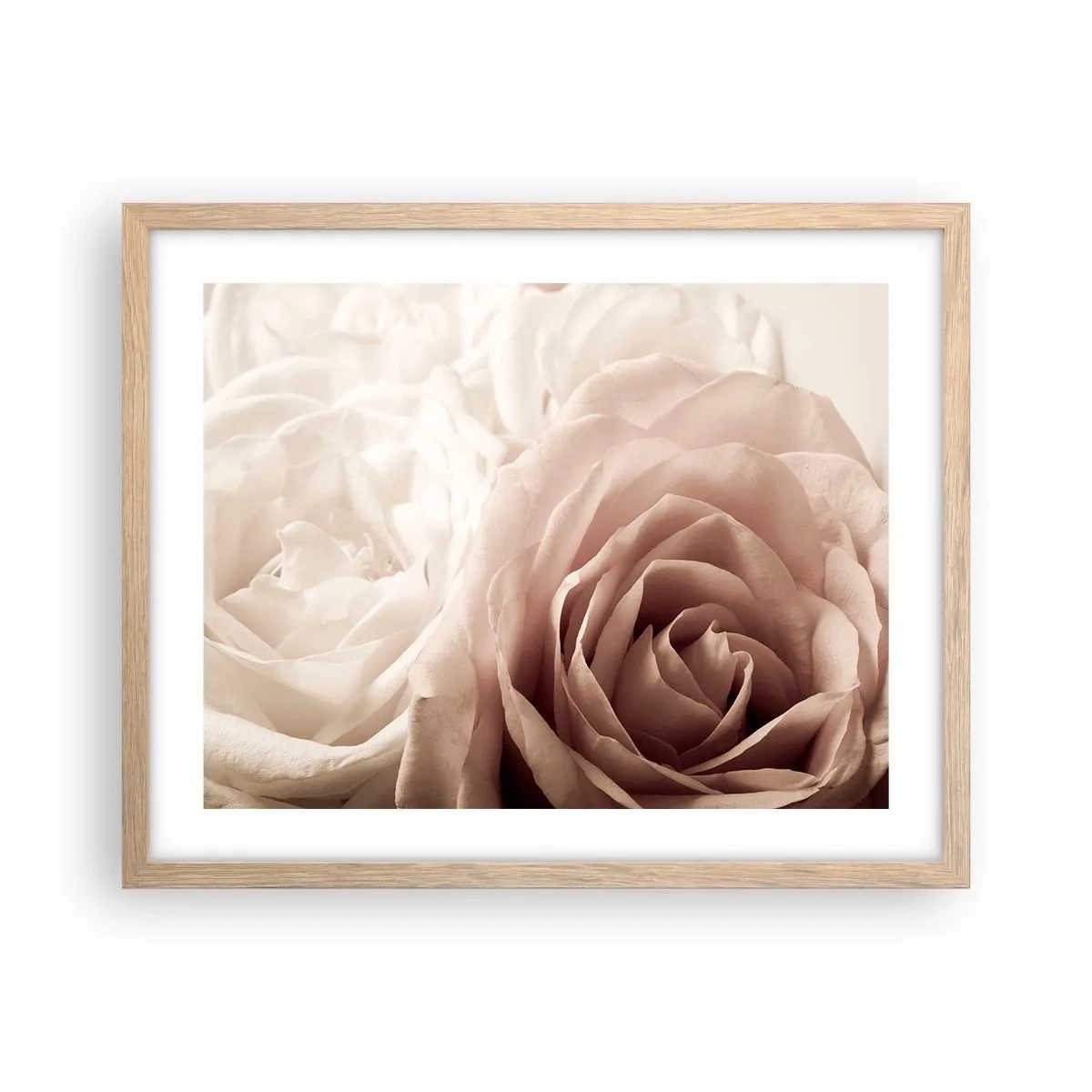 Poster in cornice rovere chiaro - Nel cuore della rosa - 50x40 cm