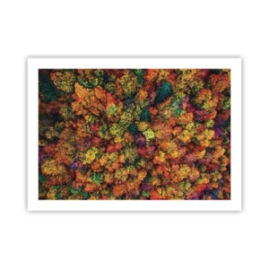 Poster - Il bouquet degli alberi d'autunno - 70x50 cm