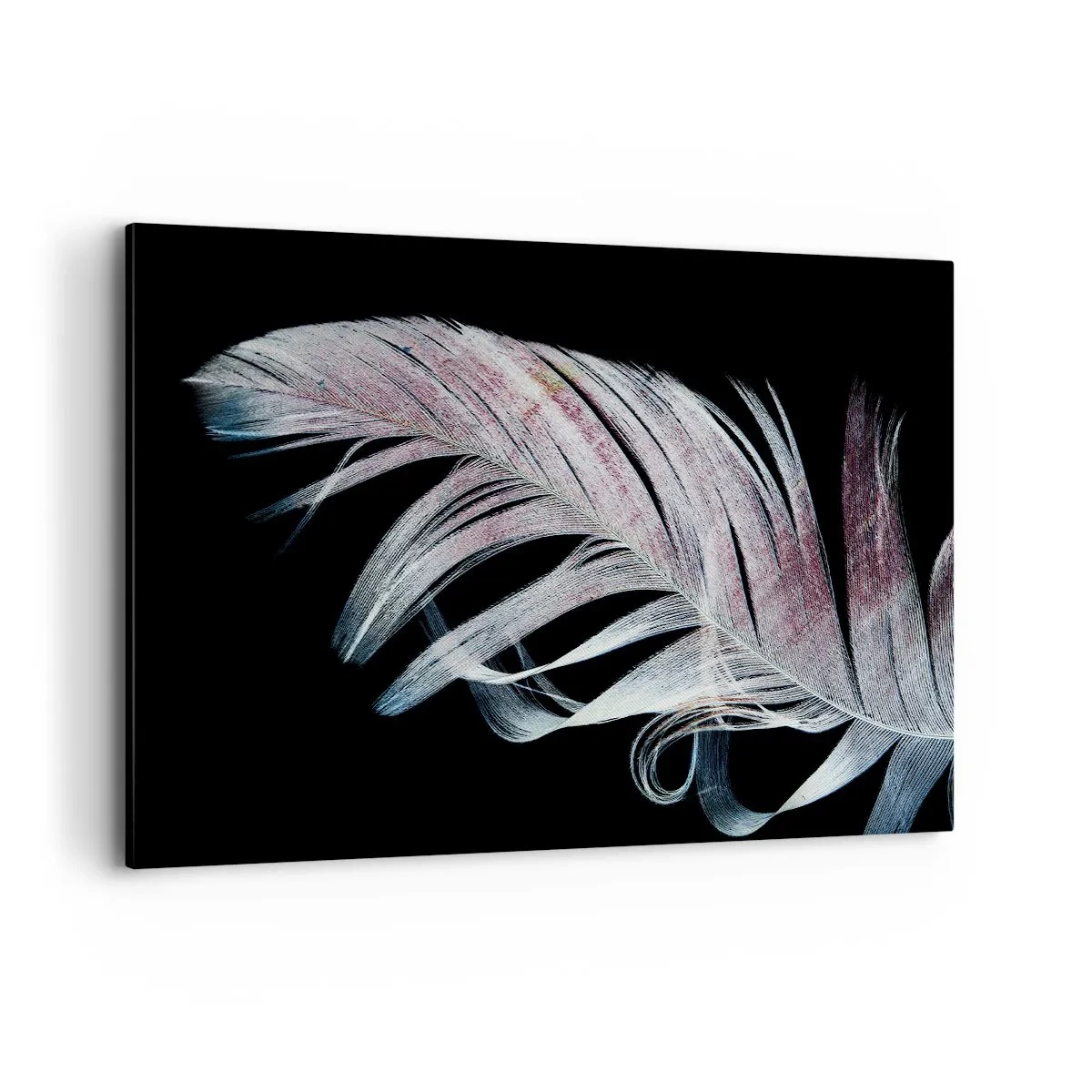 Quadro su tela - Stampe su Tela - Una piuma delicata su uno sfondo nero in un approccio artistico - 120x80cm - Pensa al tocco - Decorazione murale moderna per soggiorno e camera da letto ARTTOR