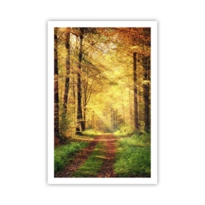 Poster - Il silenzio d'oro del bosco - 61x91 cm