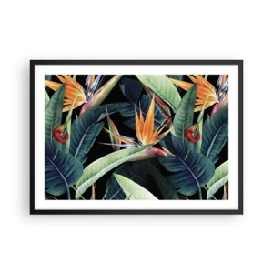 Poster in cornice nera - Fiori e foglie tropicali su sfondo nero - 70x50cm - I fiori fiammeggianti dei tropici - Decorazione murale moderna per soggiorno e camera da letto ARTTOR