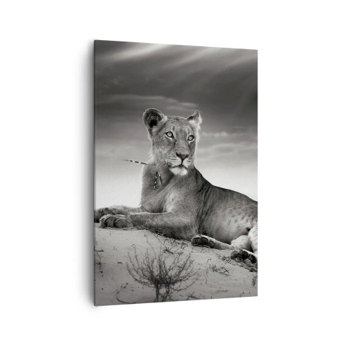 Quadro su tela - Stampe su Tela - Ritratto in bianco e nero di una leonessa nella savana - 70x100cm - Il riposo della regina del deserto - Decorazione murale moderna per soggiorno e camera da letto ARTTOR