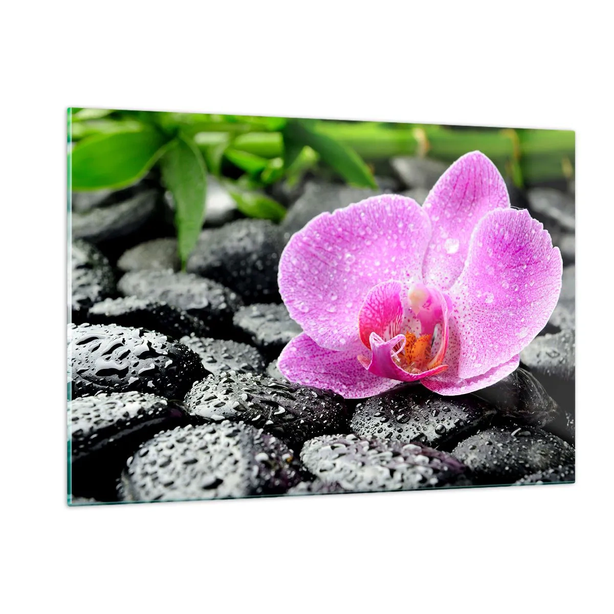 Quadro su vetro - Fiore di orchidea rosa su pietre nere bagnate - 120x80cm - Come un cuore aperto - Decorazione murale moderna per soggiorno e camera da letto ARTTOR