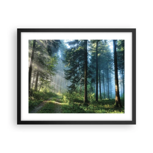 Poster in cornice nera - Raggiante all'alba - 50x40 cm