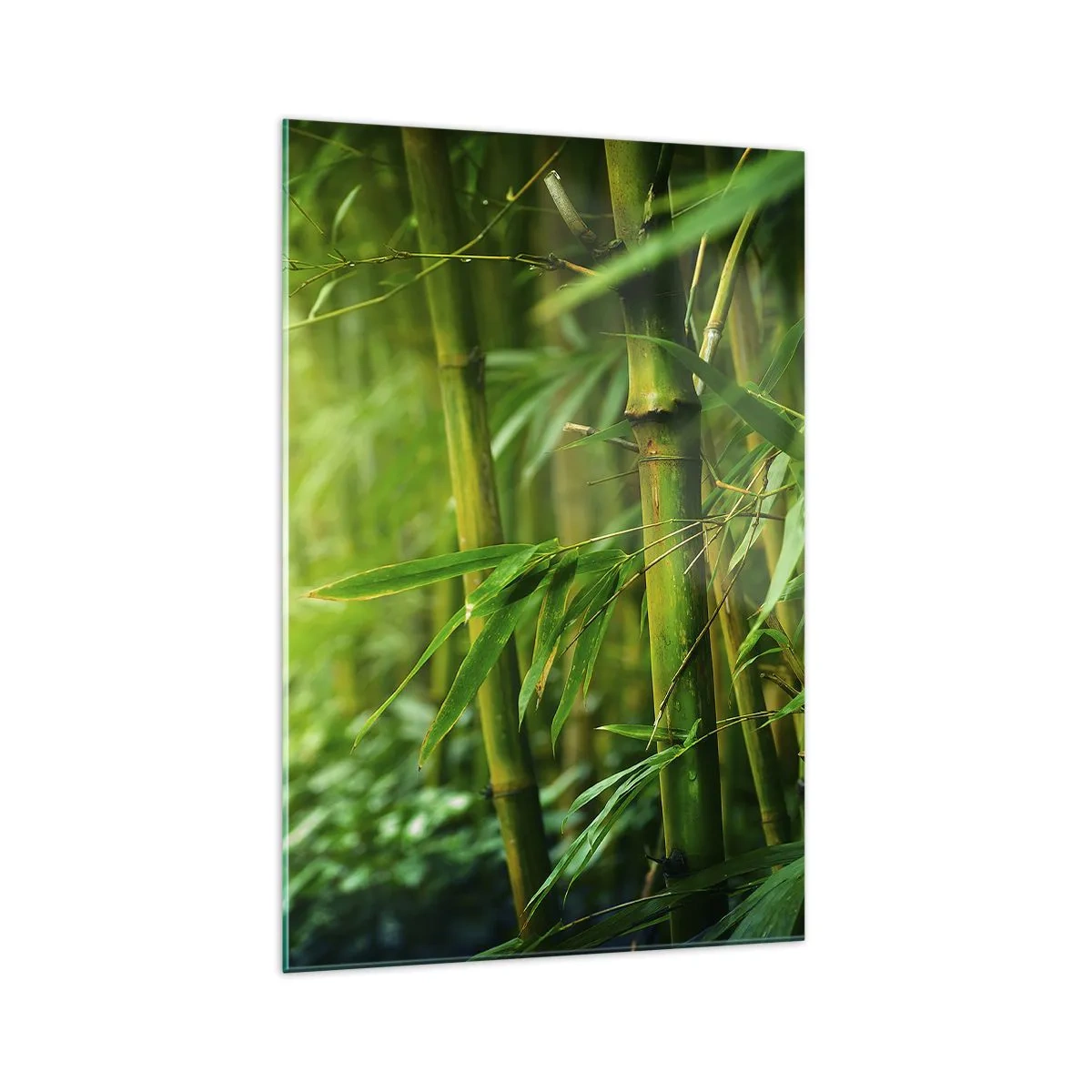 Quadro su vetro - Foresta di bambù verde in luce soffusa - 70x100cm - Conoscere il verde in sé - Decorazione murale moderna per soggiorno e camera da letto ARTTOR