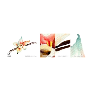 Campione di Fotomurale Adesivo Deluxe Sticker - Dolcezza versata con la vernice - Fiore di vaniglia, Fiore, Bastoncino di vaniglia - 100x30 cm